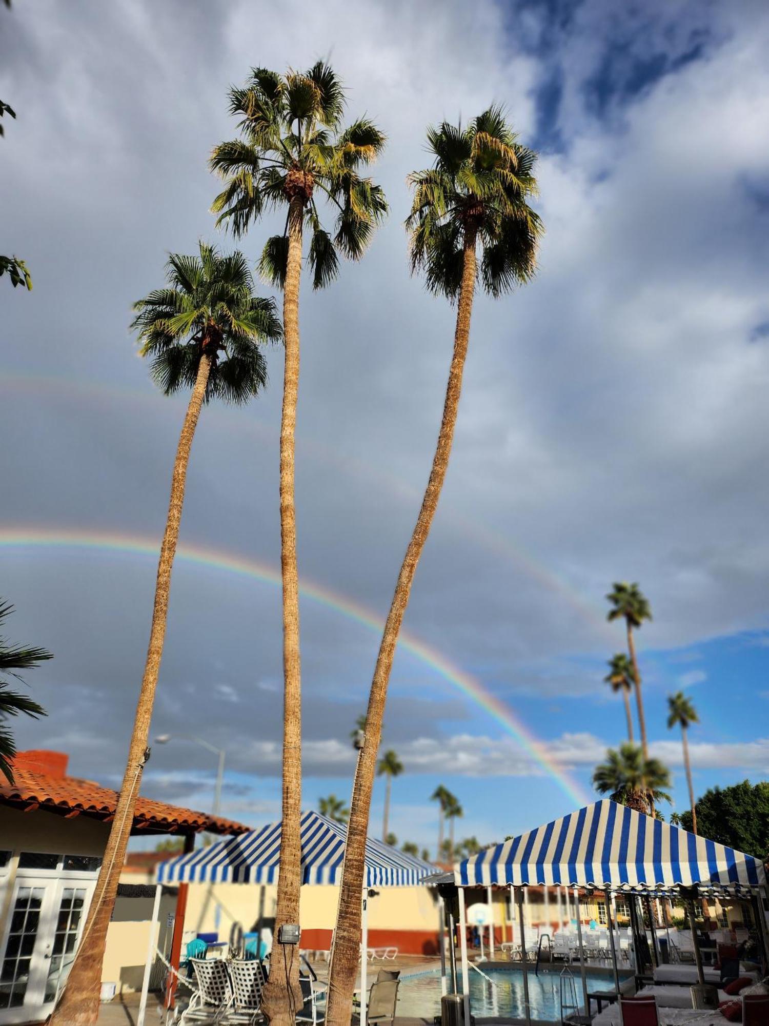 Exotic Dreams Resort Adults Only Palm Springs Kültér fotó